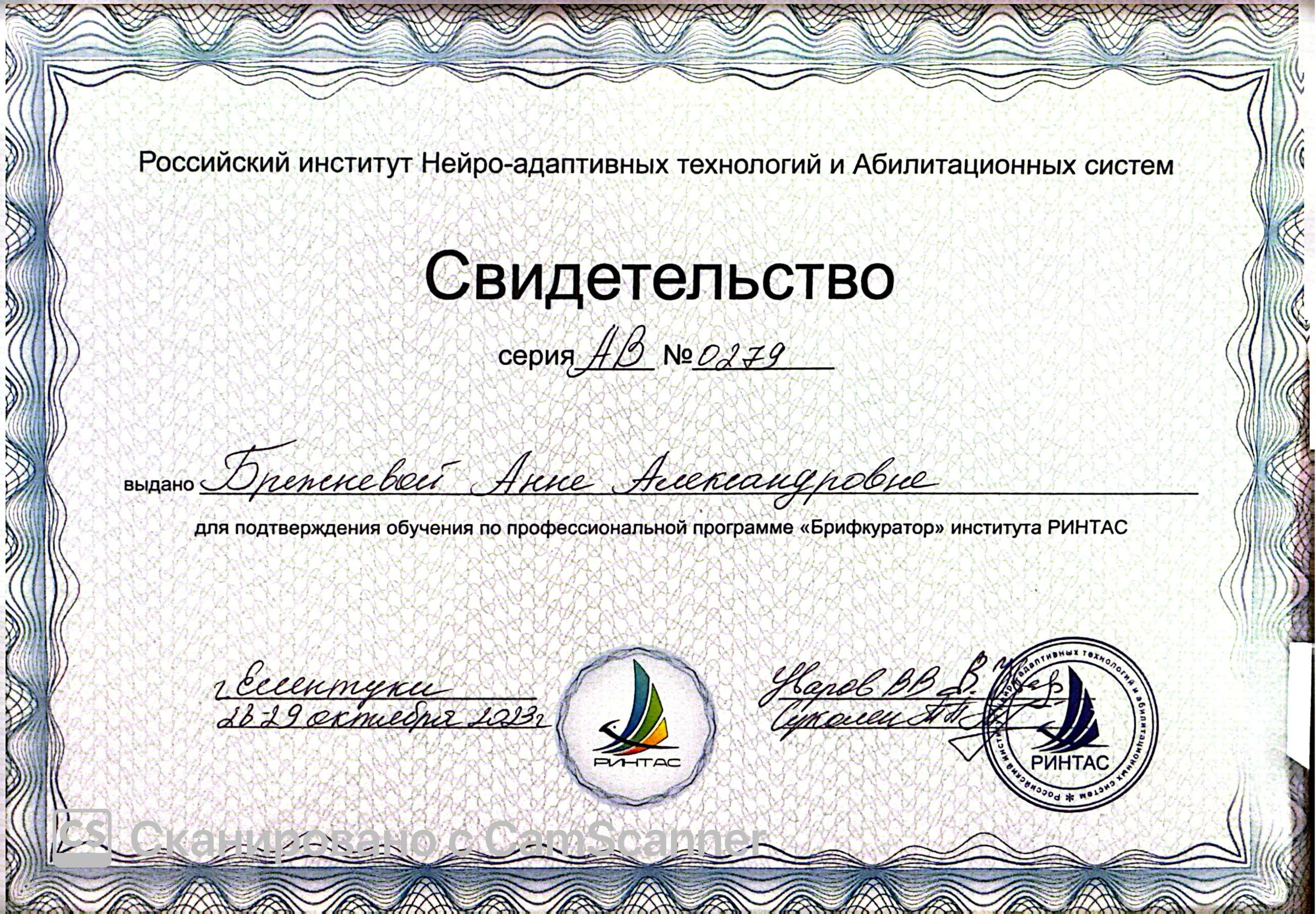 РИНТАС Брифкуратор