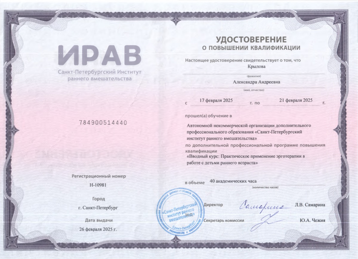 Эрготерапия вводный