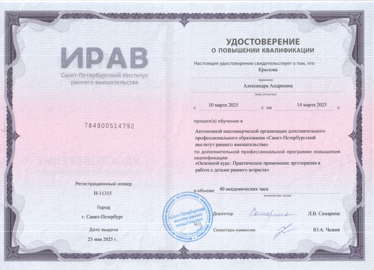 Эрготерапия продвинутый